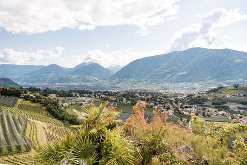 Le immagini più belle di Scena