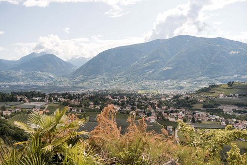 Le immagini più belle di Scena