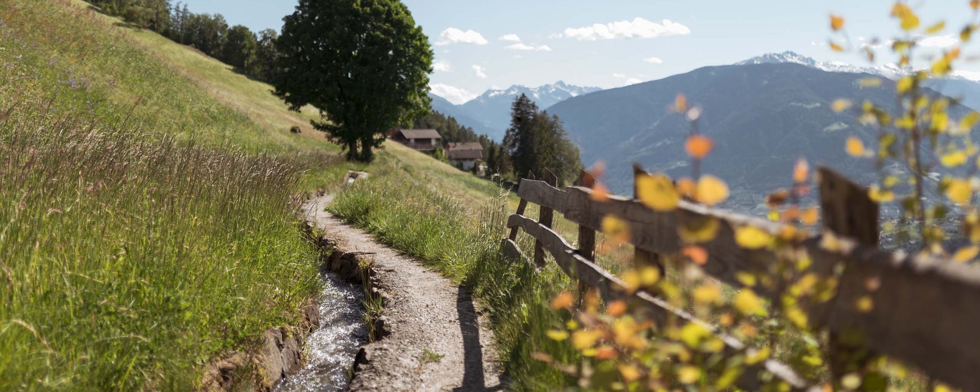 Escursioni in primavera Escursioni in primavera