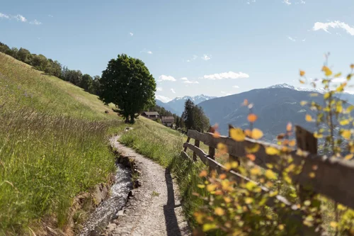 Neues aus Schenna Neues aus Schenna