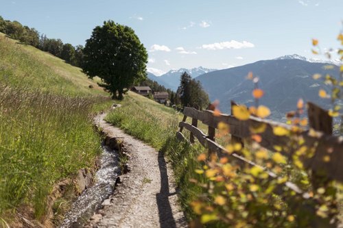 Novità da Scena Novità da Scena
