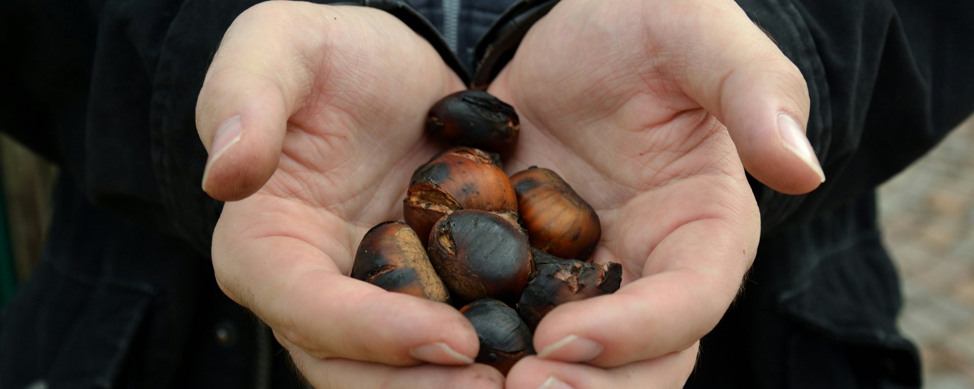 Kulinarische Erlebnisse im goldenen Herbst Kulinarische Erlebnisse im goldenen Herbst