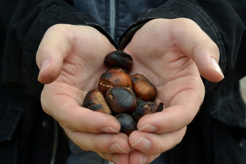 Neues aus Schenna Neues aus Schenna